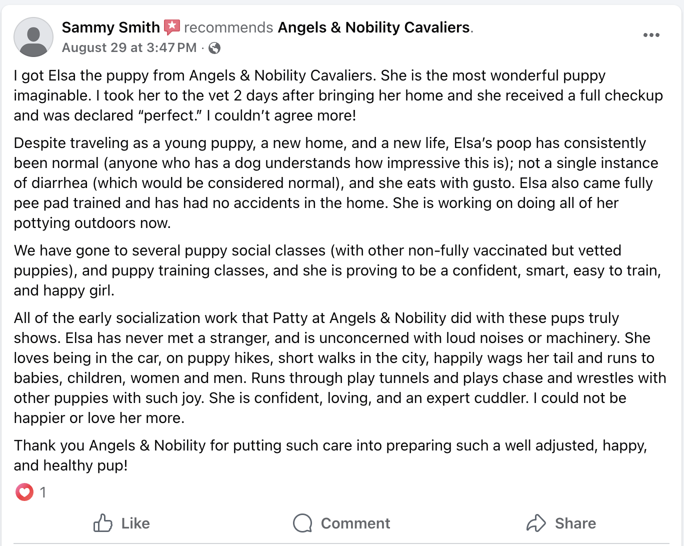 5-star Facebook review for Angels and Nobility Cavaliers