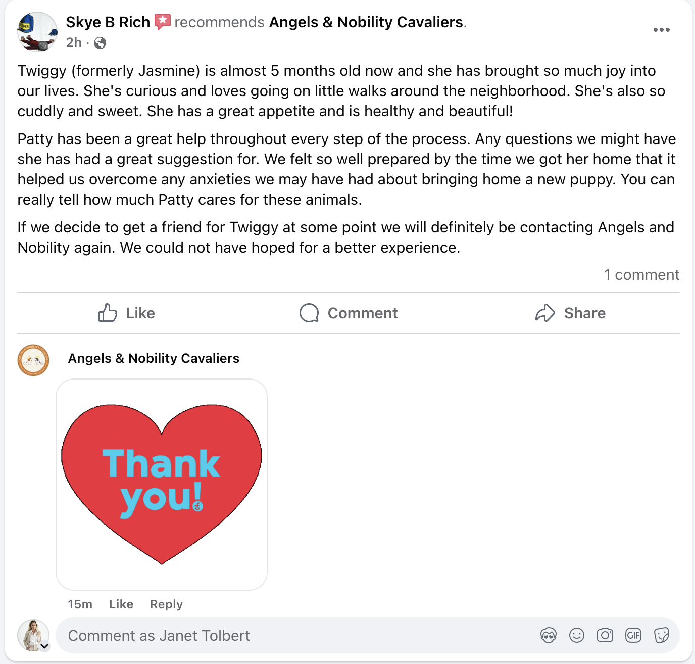 5-star Facebook reviews for Angels and Nobility Cavaliers