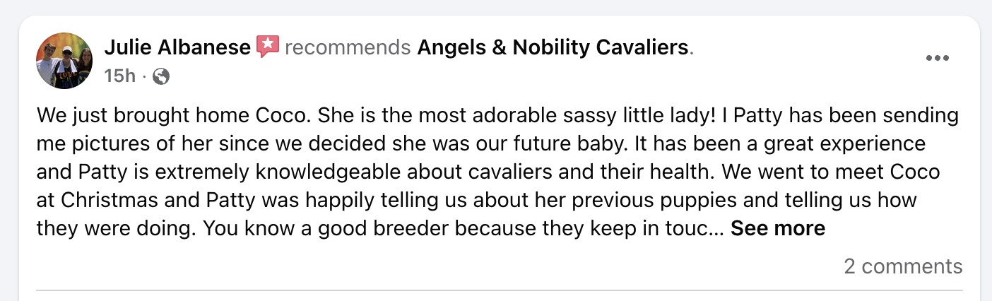 5-star Facebook review for Angels and Nobility Cavaliers