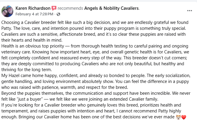 5-star Facebook review for Angels and Nobility Cavaliers